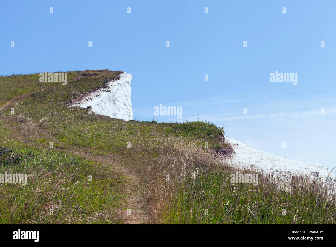 Walking path to white cliff edge through wildflower grassland, Dover, Kent, south east England, on a sunny summer day Stock Photo