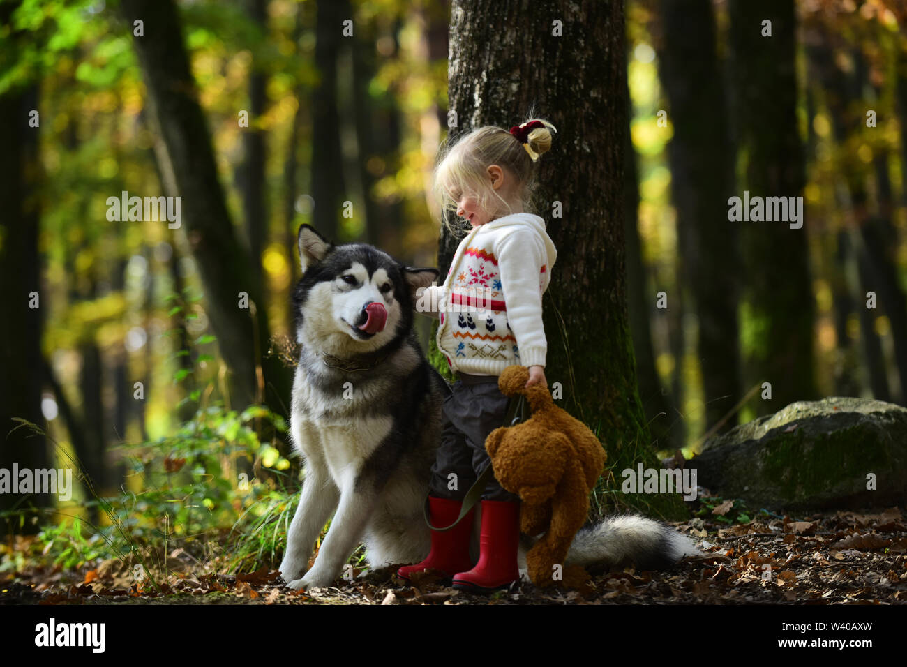 Happy little girl playing with big dog in forest in autumn Stock Photo ...