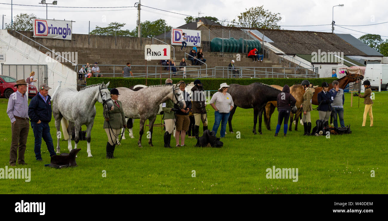 horses in a show ring at a country show Stock Photo