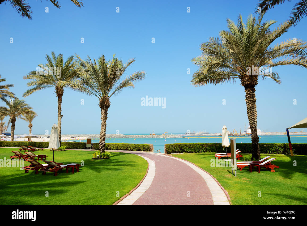Date palm trees dubai hires stock photography and images Alamy