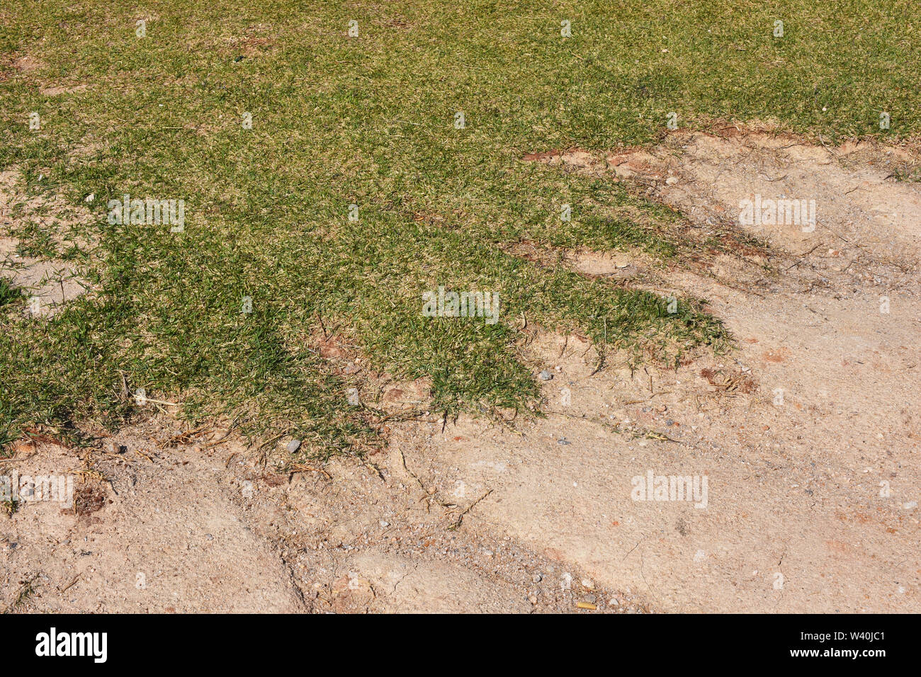 Soil erosion in the highlands. Landscape mountain with soil cracked ...