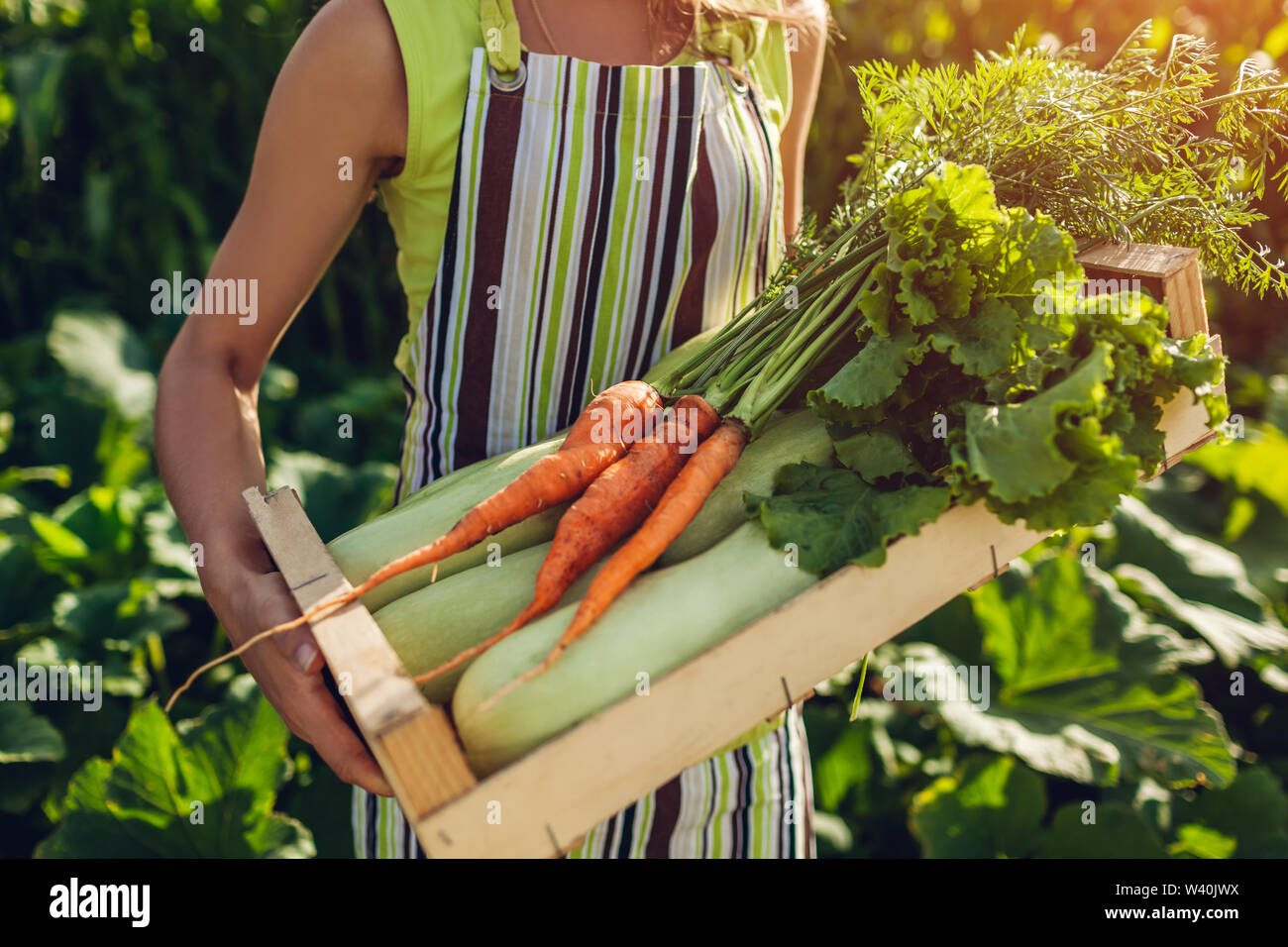 Young farmer holding wooden box filled with fresh vegetables. Woman ...