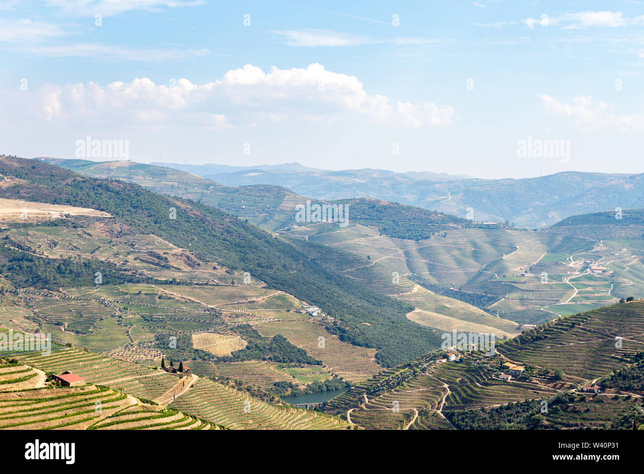 Scenic view of Alto Douro Vinhateiro with terraces and vineyards Stock Photo