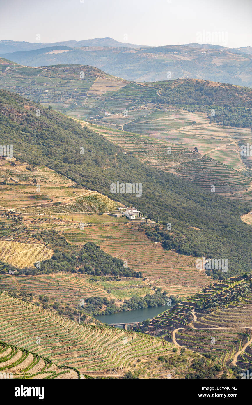 Scenic view of Alto Douro Vinhateiro with terraces and vineyards Stock Photo