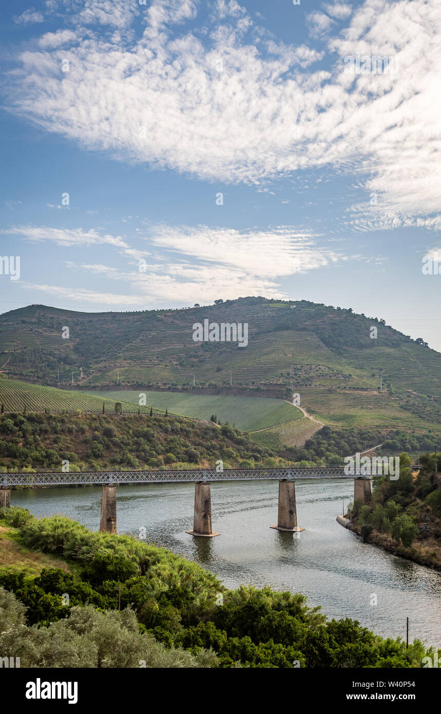 Scenic view of Alto Douro Vinhateiro with terraces, vineyards and the Tua Bridge over Douro River Stock Photo