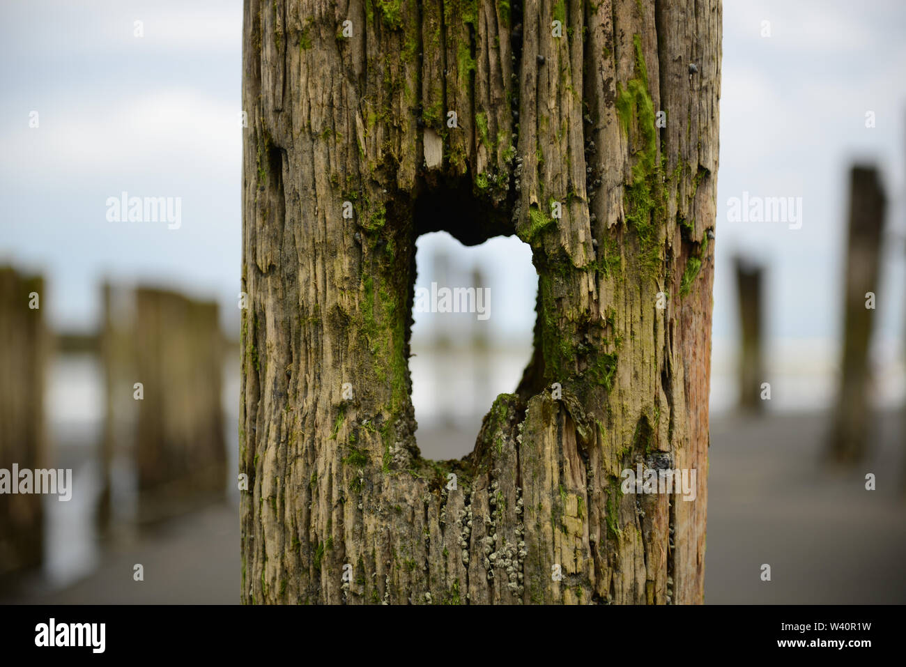 close up of a pole with a hole at the beach Stock Photo