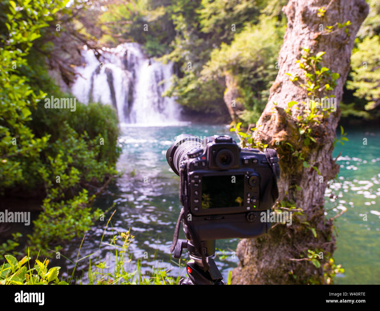 Profesional digital camera hi-res stock photography and images - Alamy