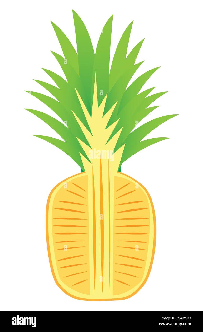 Pineapple fruits vector illustrations. Stock Vector