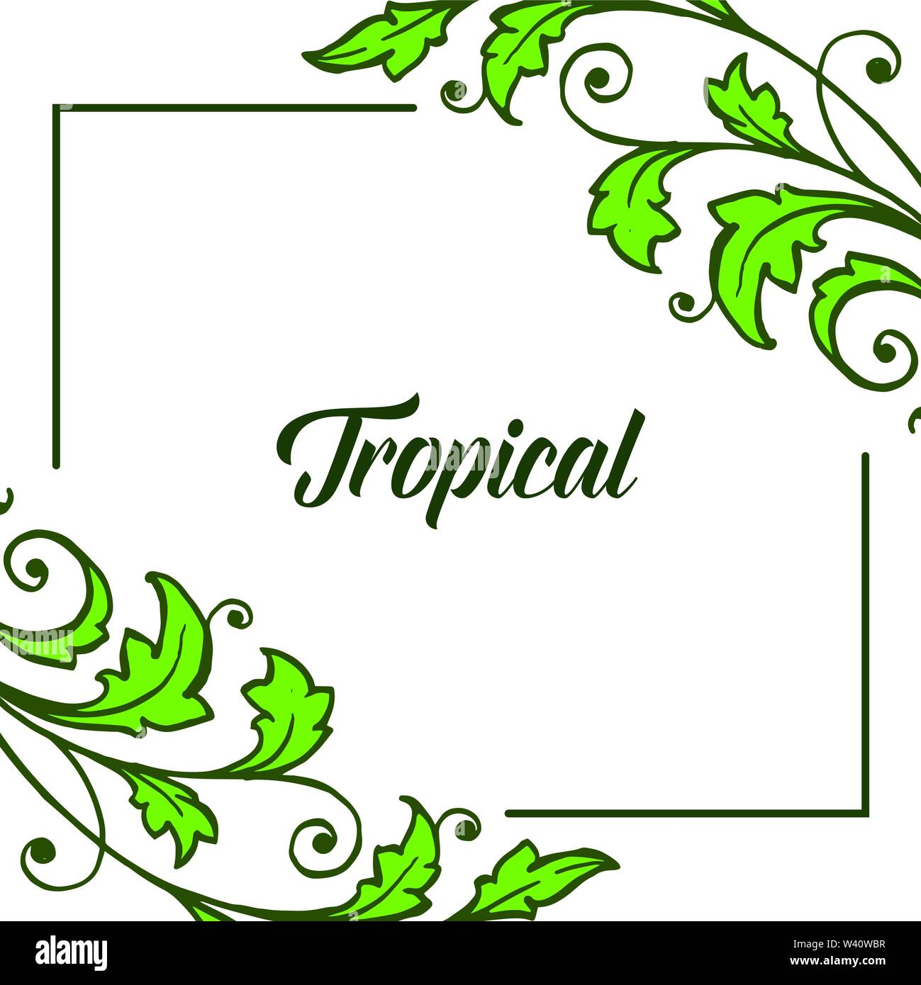 Card decor of summer tropical with various art of green leaves frame ...
