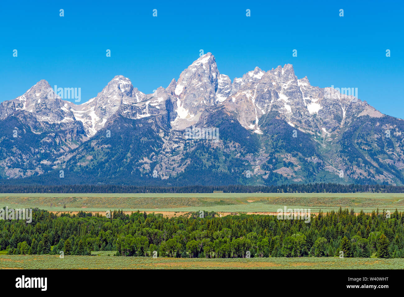 Grand Teton mountain range in summer with a pine tree forest, Grand Teton National Park, Rocky Mountains, Wyoming, United States of America, USA. Stock Photo