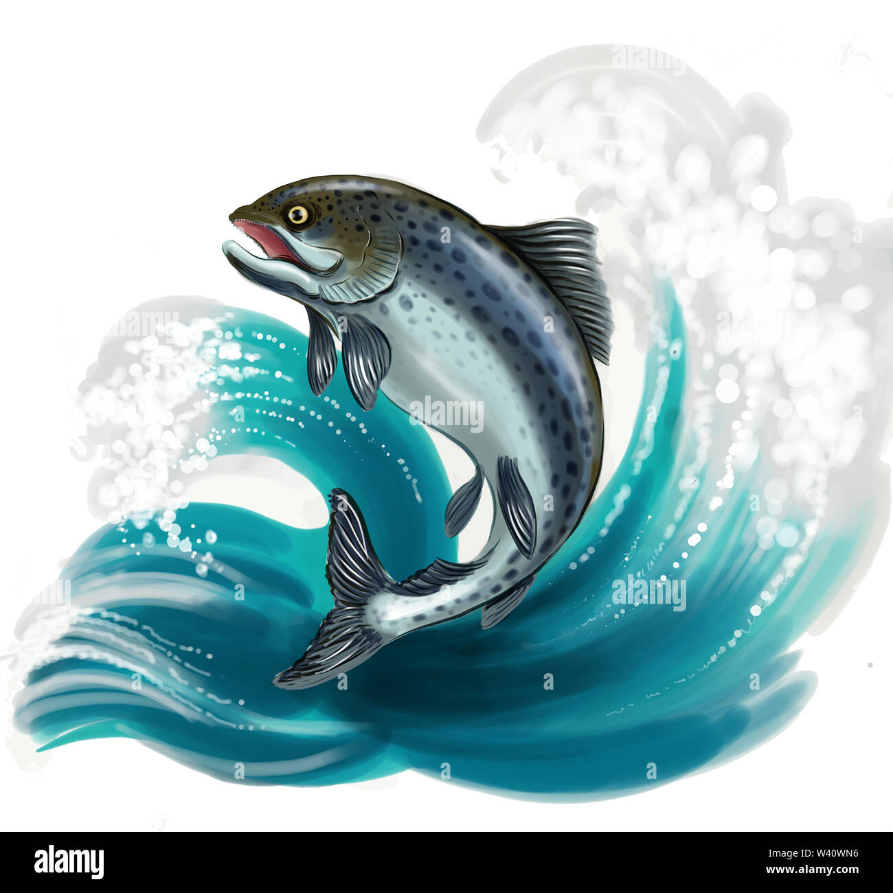 Jumping salmon fish Stock Photo Alamy