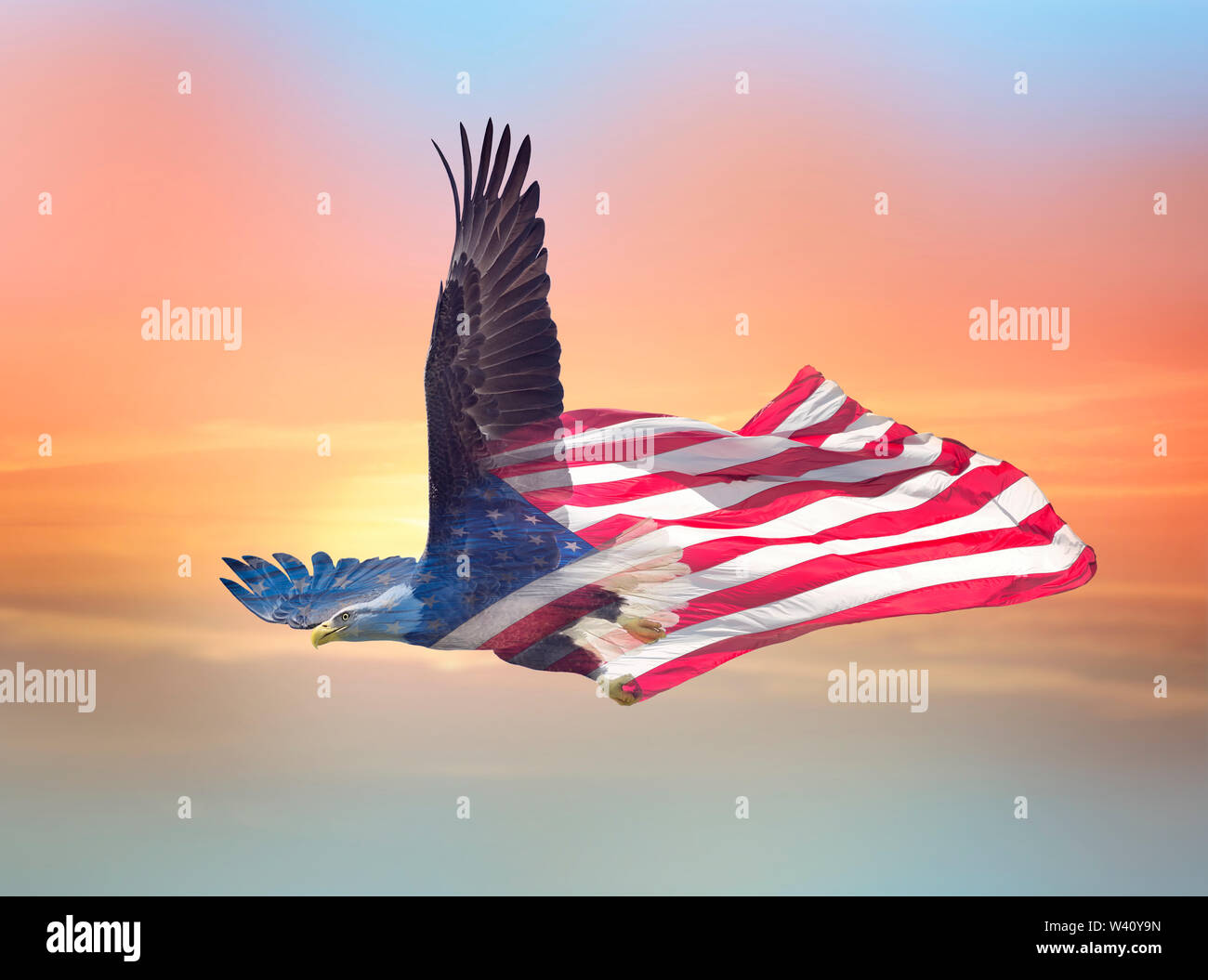 Background wallpaper north american bald hi-res stock photography and  images - Alamy, image size:1300x1055