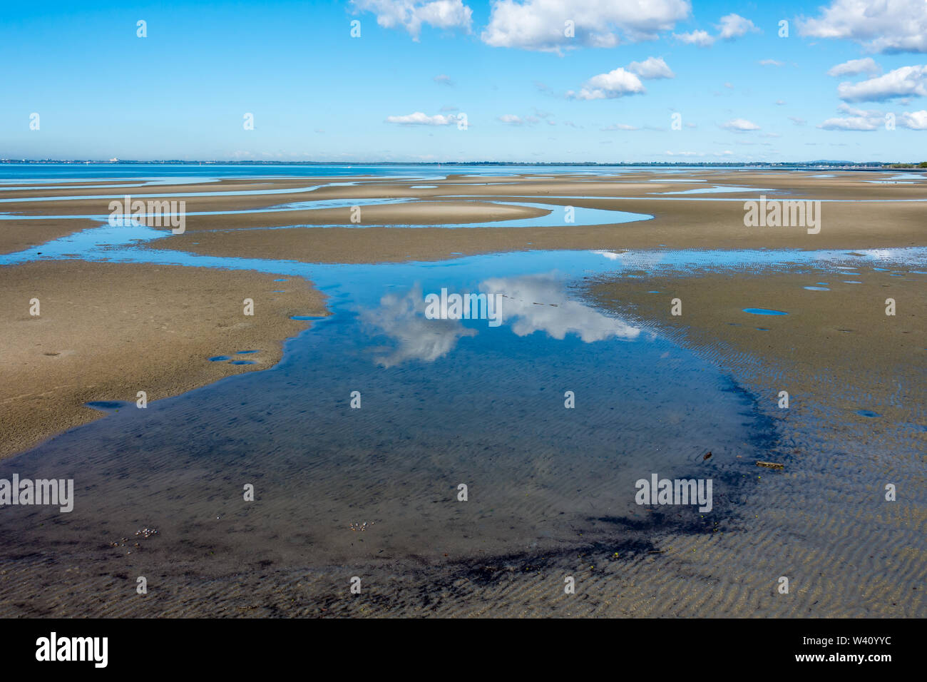 Off leash dog parks hires stock photography and images Alamy