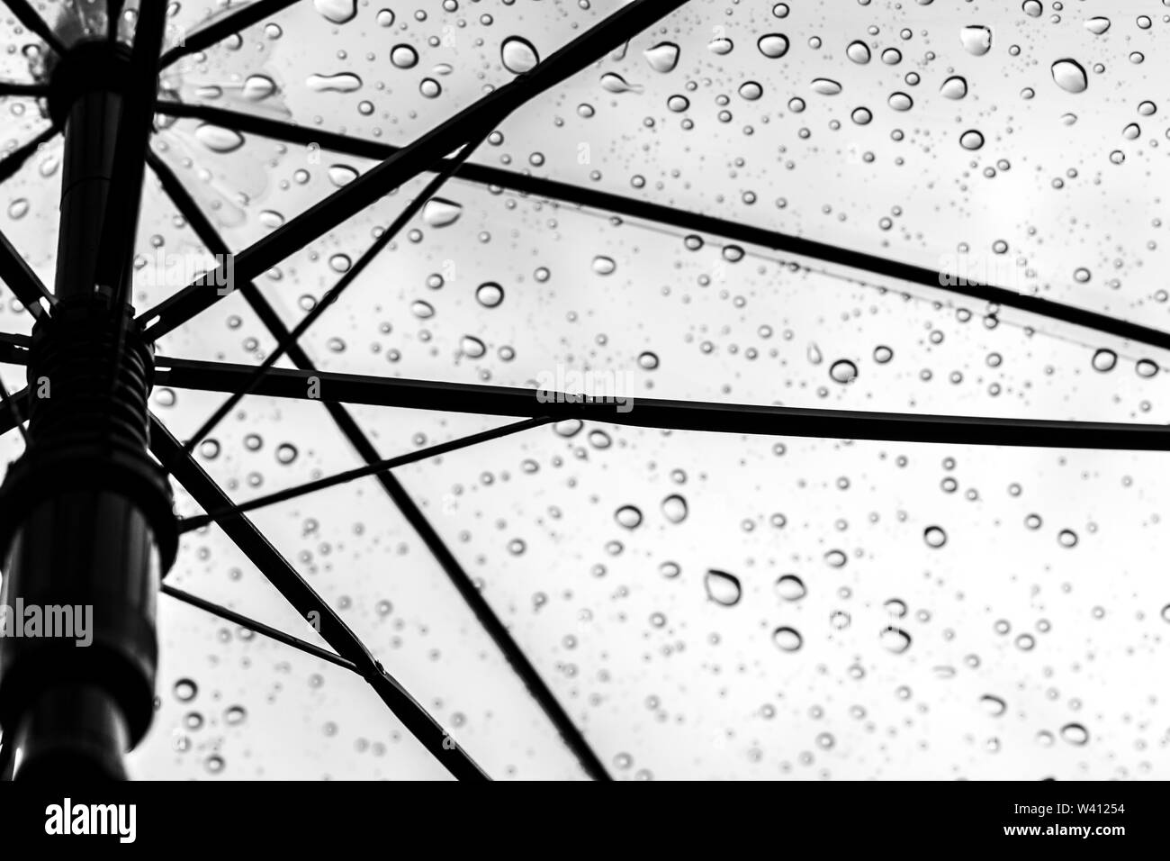 bottom view on umbrella with rain drops Stock Photo
