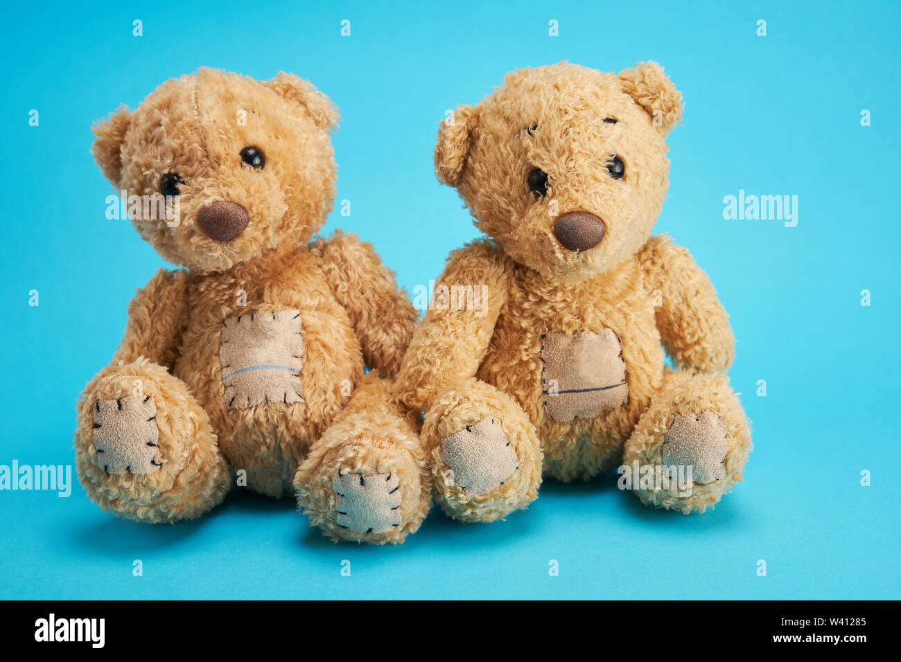two brown teddy bears are sitting, blue background Stock Photo Alamy