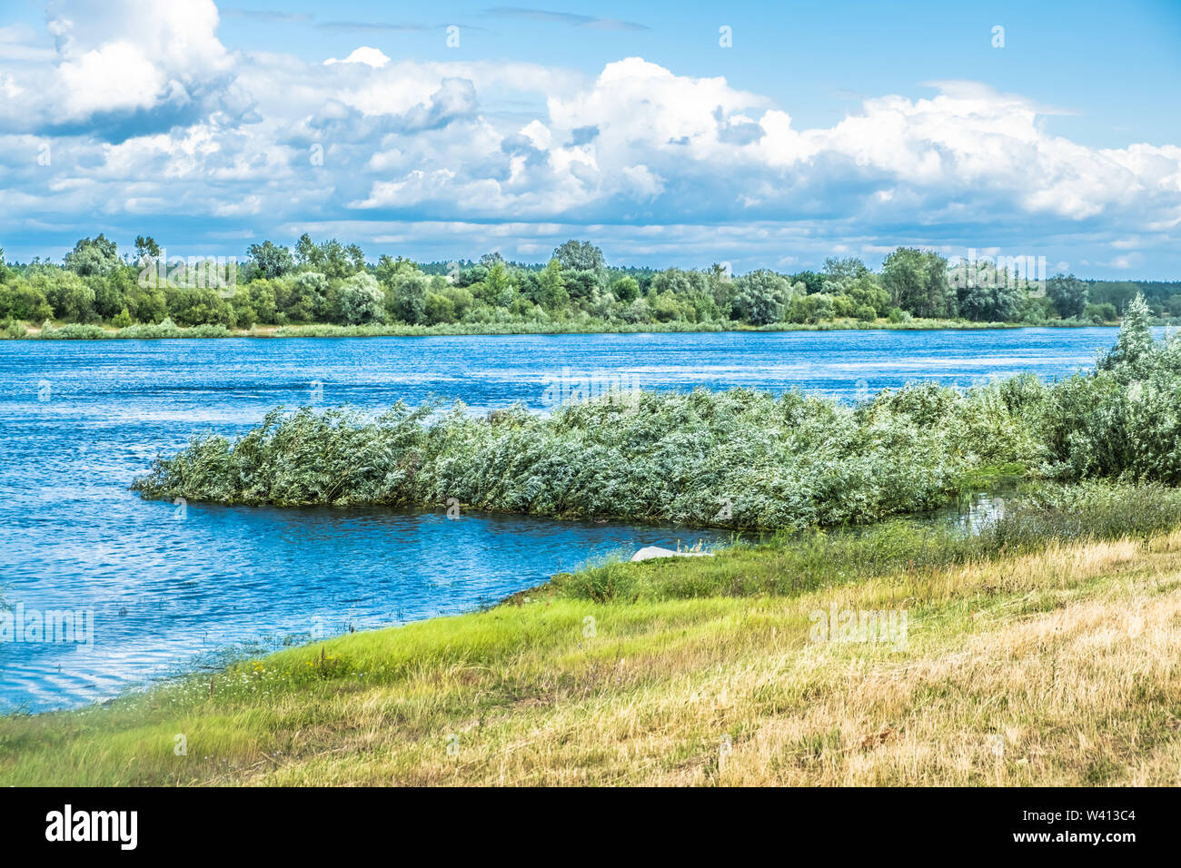 Pripyat river and native vegetation on bright summer day in Belarus Stock Photo