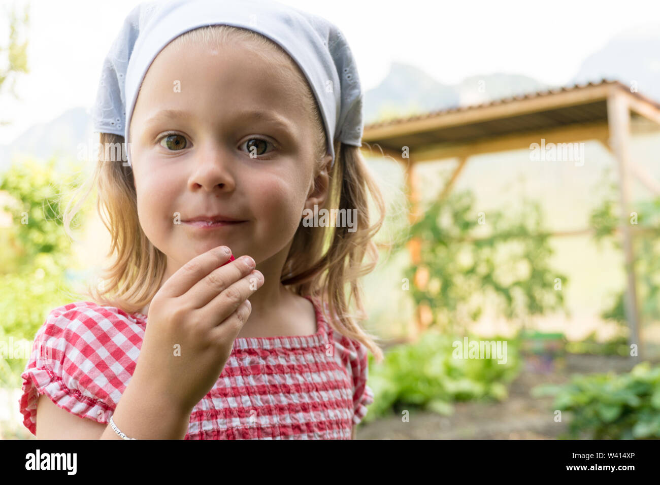 young pre-schoo girl eats a radish she just harvested in her vegetable patch Stock Photo