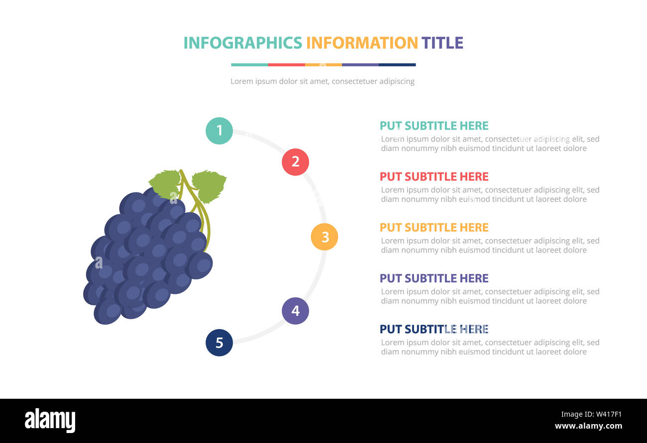 blue grape infographic template concept with five points list and ...
