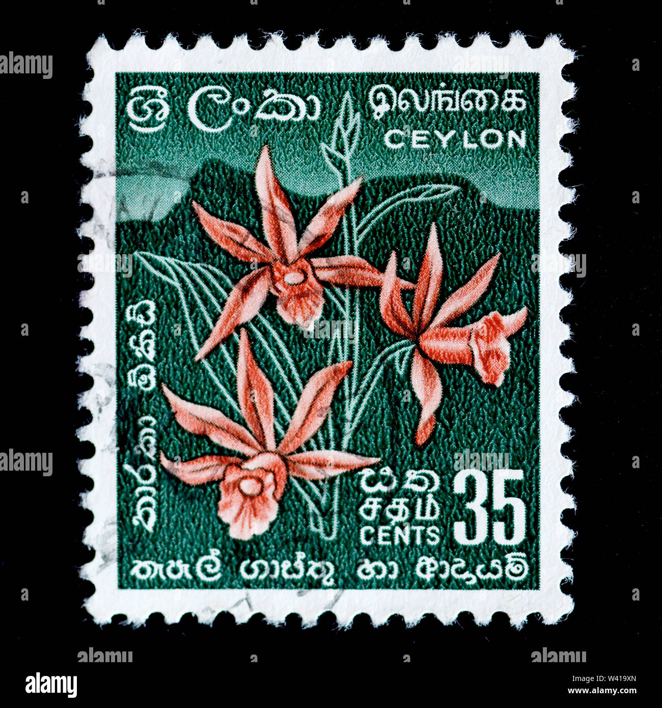 Ceylon Postage Stamp - Star Orchid Stock Photo - Alamy