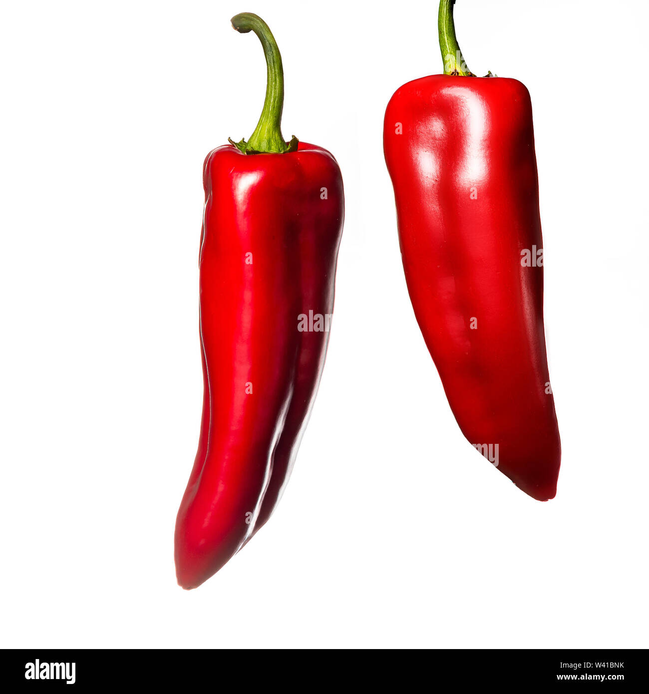 Two hanging red paprika fruit. White background. Vegetables in the