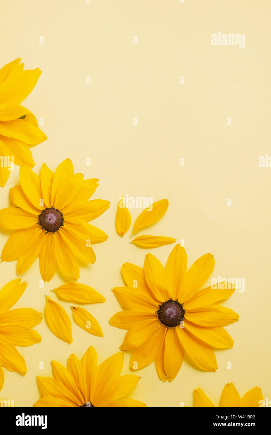 Flowers composition. Pattern made of yellow flowers on pastel yellow  background. Summer and autumn concept. Flat lay, top view, copy space Stock  Photo - Alamy