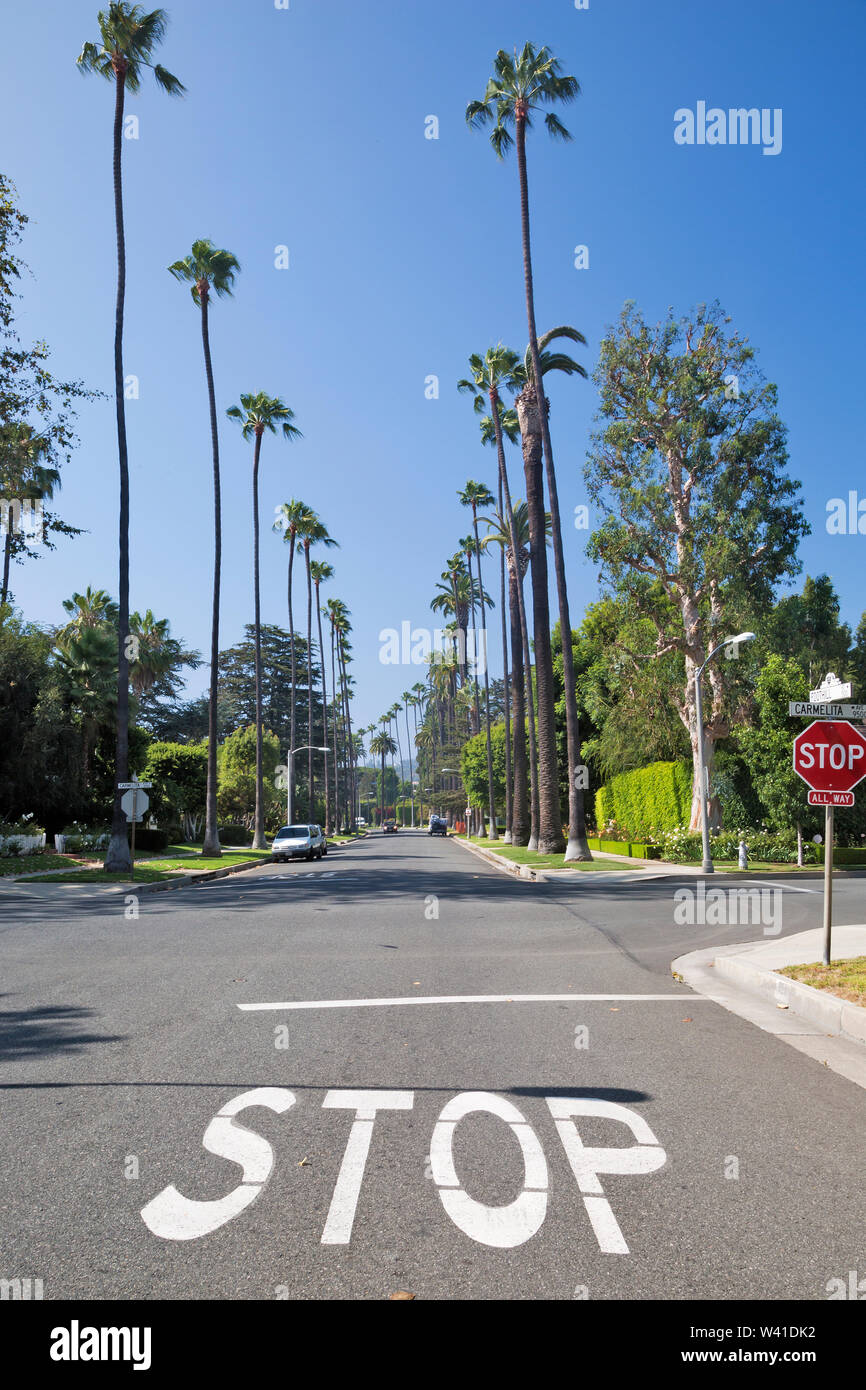 Palm trees along boulevard, Beverly Hills, Los Angeles, California, United  States of America Stock Photo - Alamy