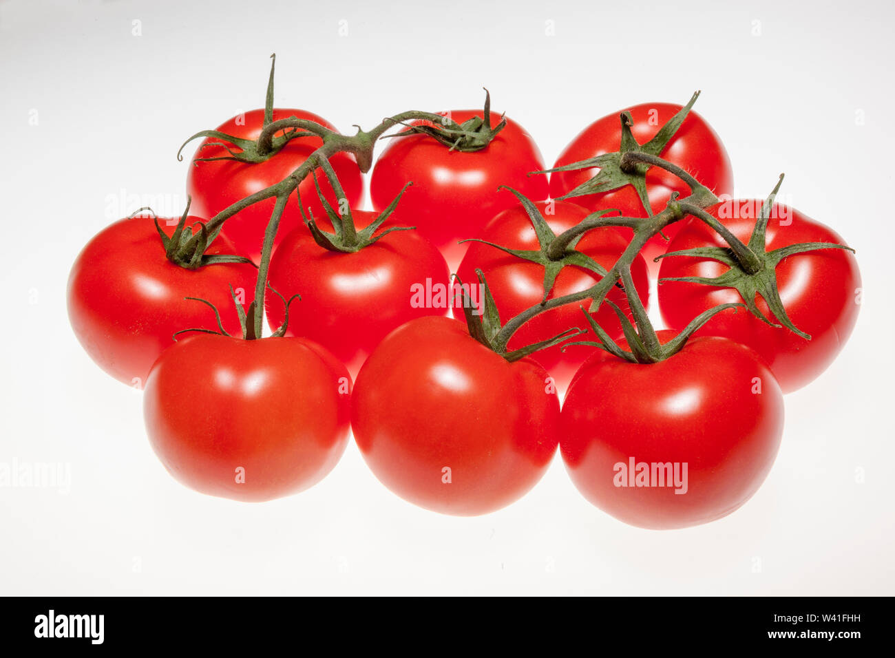 Fresh ripe tomatoes on the vine with water droplets isolated on white ...