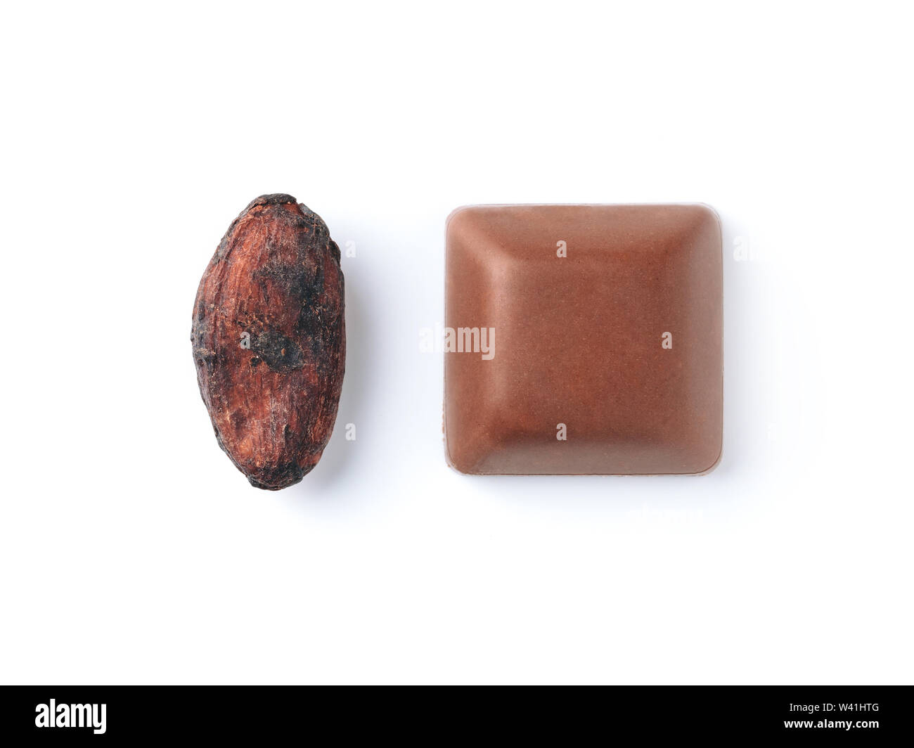 Raw cacao bean and chocolate piece on white background. Isolated on white with clipping path. Copy space for text. Stock Photo