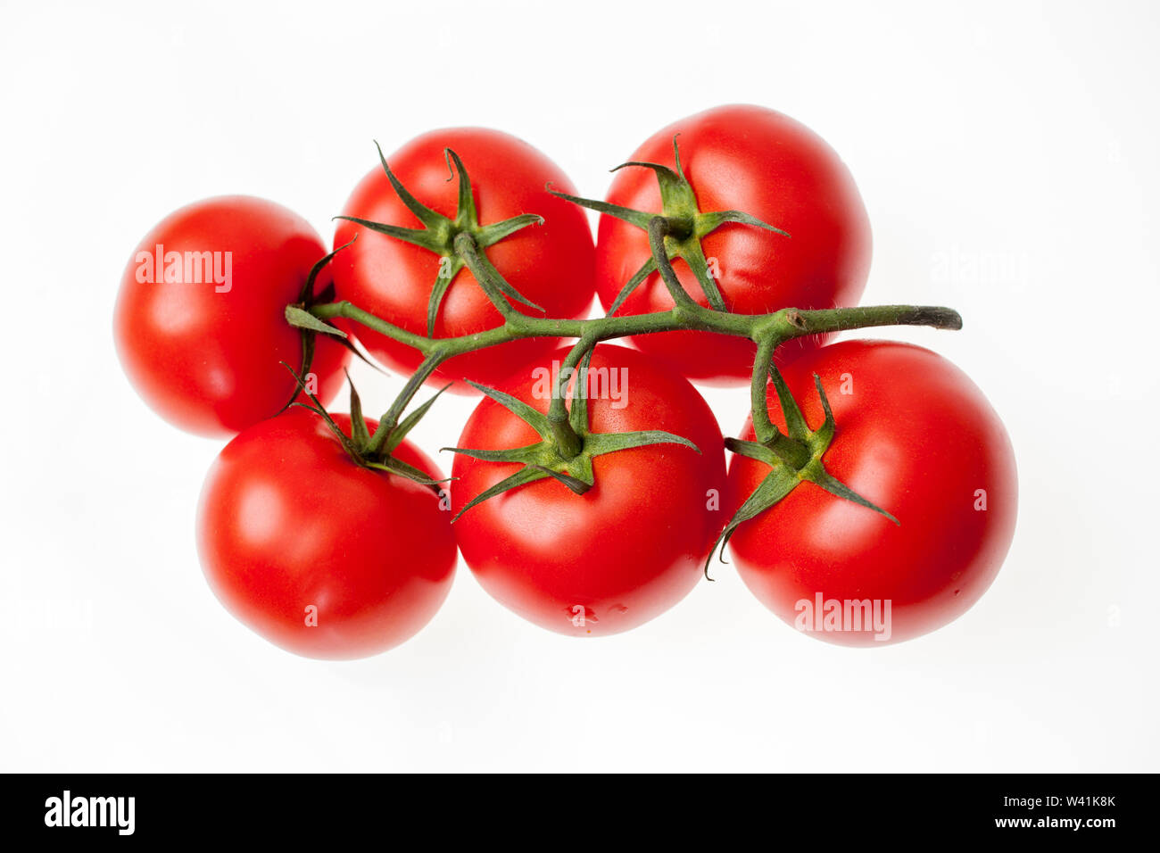Tomatoes on the vine isolated on white background Stock Photo - Alamy