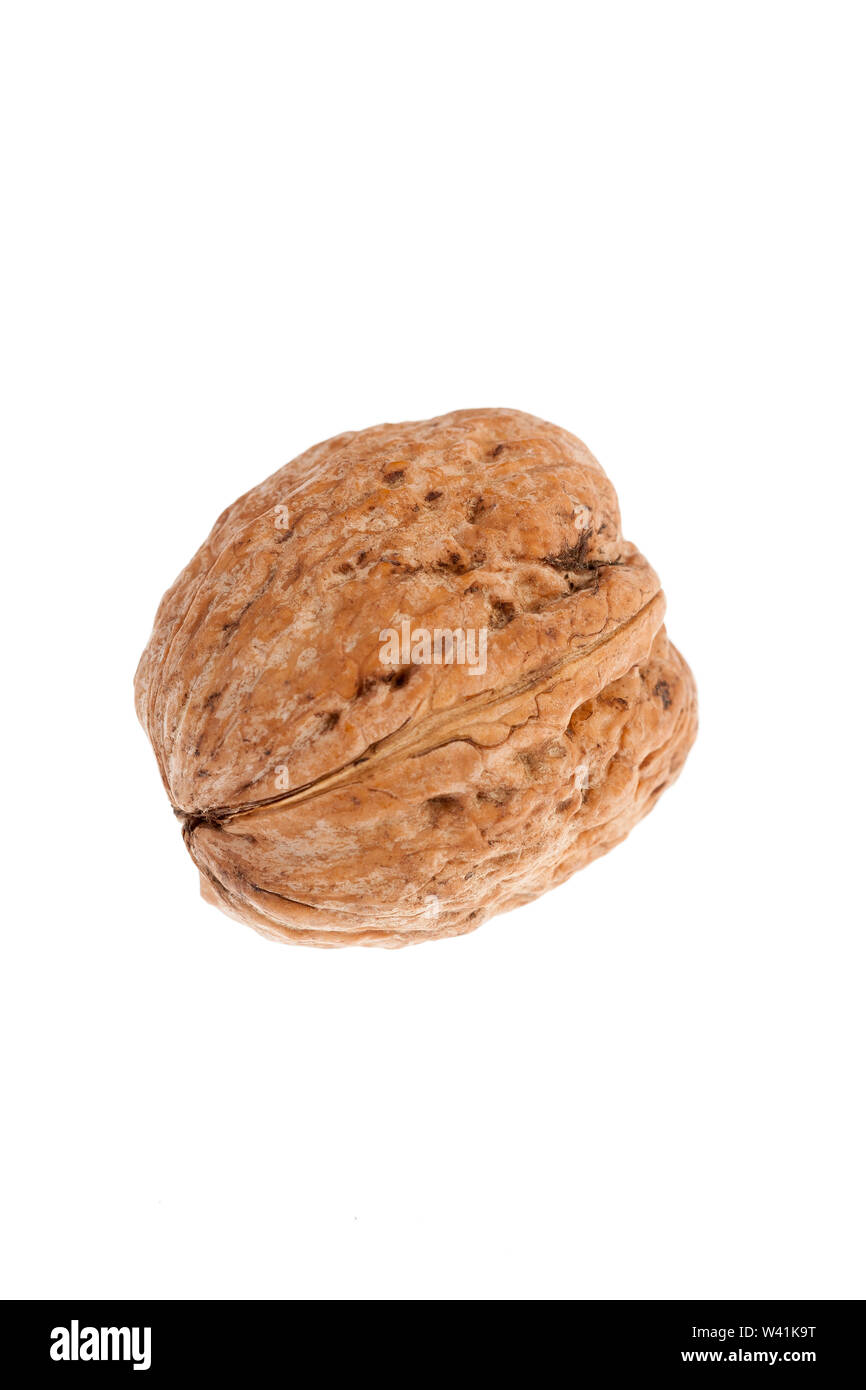 Walnuts in shell isolated on white background Stock Photo