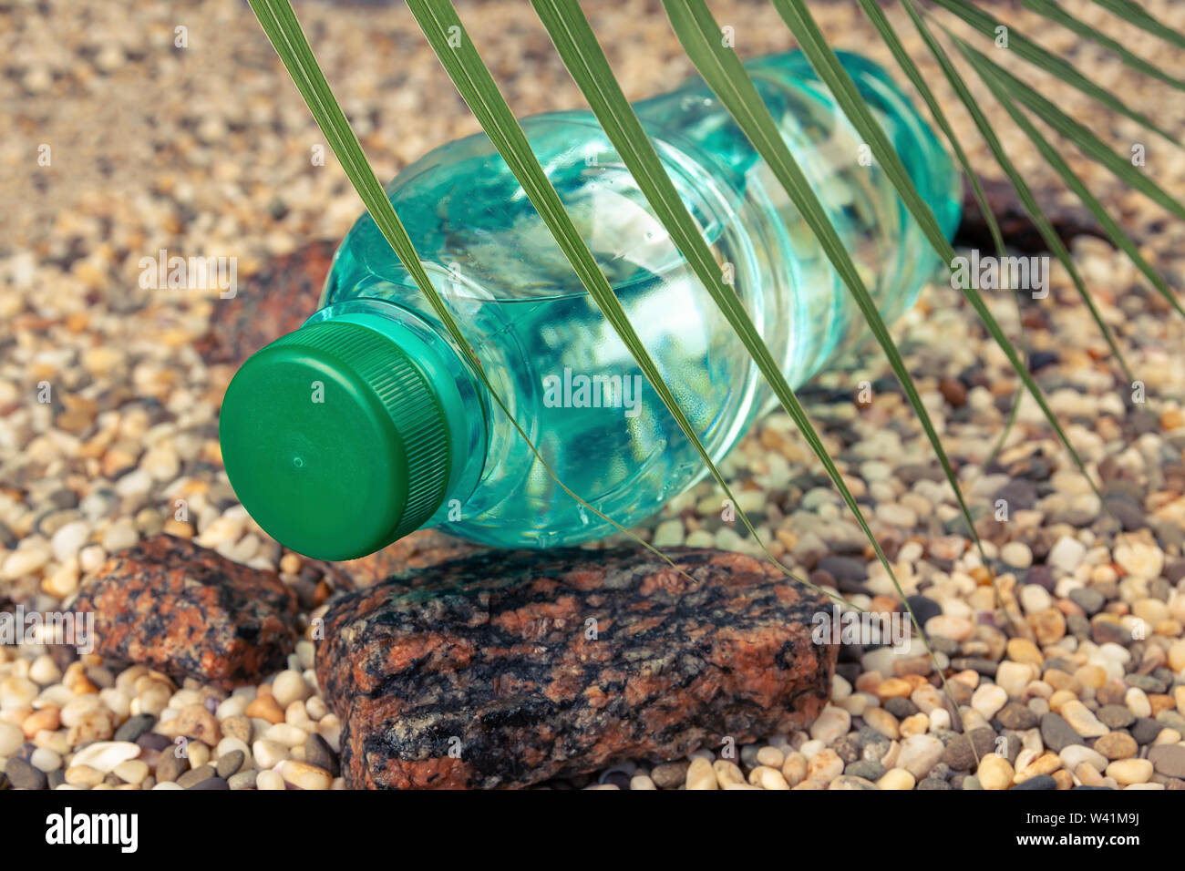 A water bottle is lying on a stone beach in the shade of a fern Stock Photo