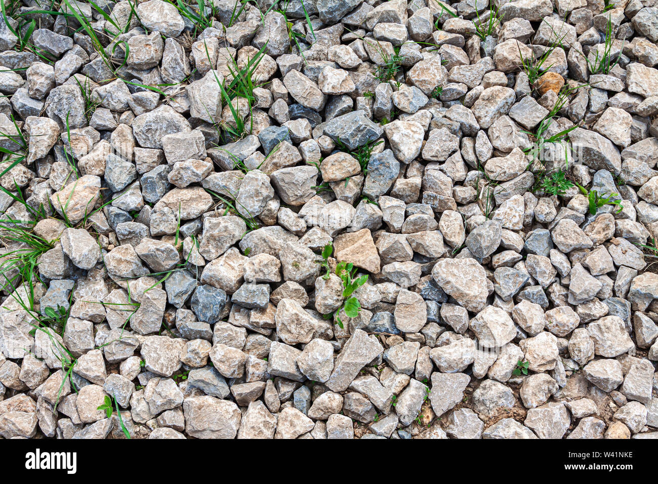 The background grows through the rubble grass. Stock Photo