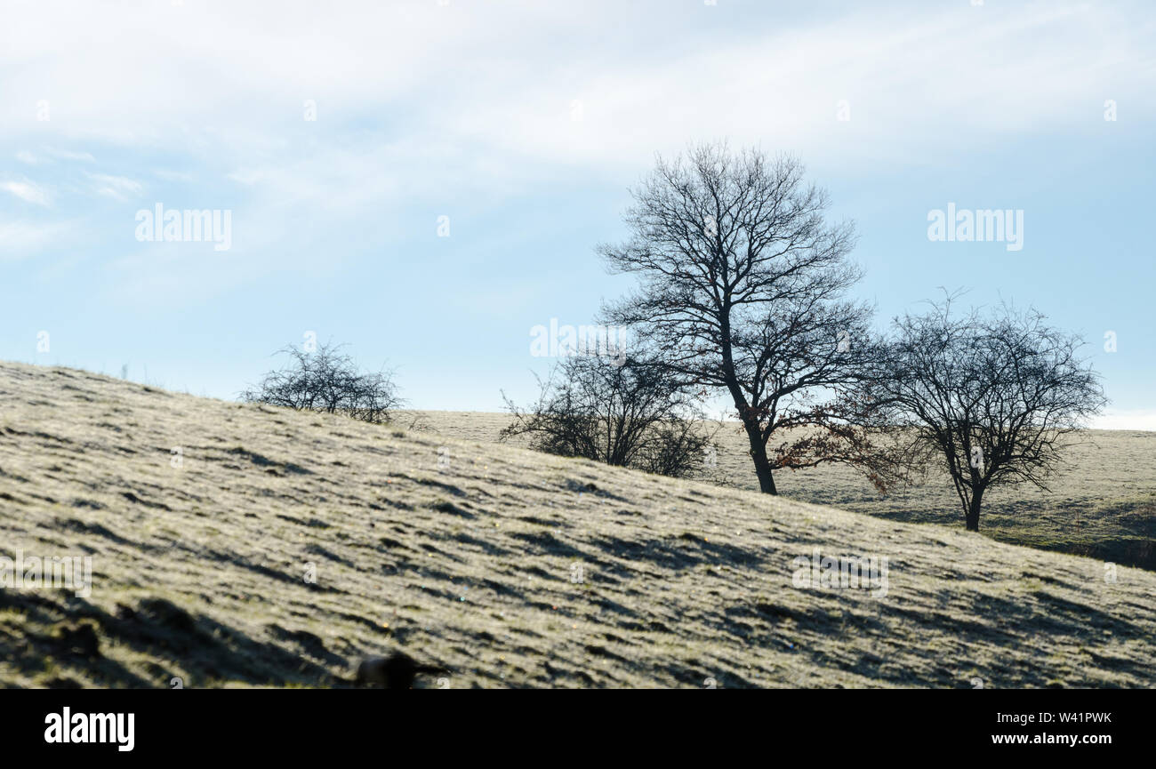 Autumn trees in the countryside, Bavaria, Germany Stock Photo - Alamy