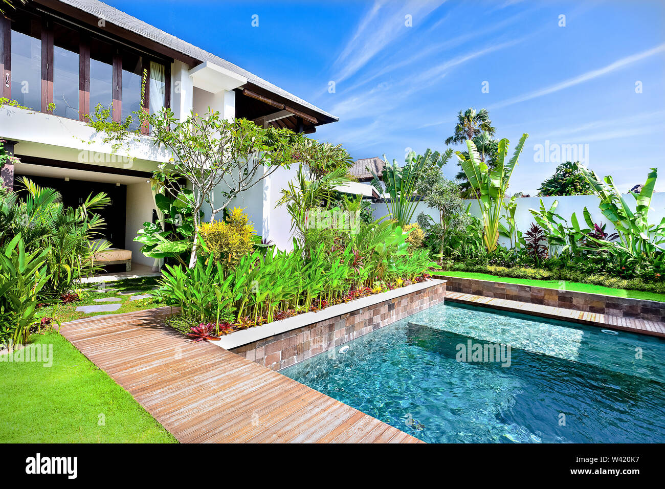 Modern Garden With A Swimming Pool And Green Color Fancy Plants In Luxury House Stock Photo Alamy