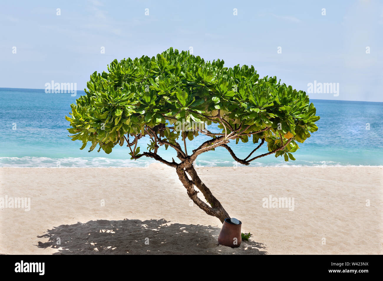 Ocean Treeview Villa blue ocean hi-res stock photography and images - Alamy
