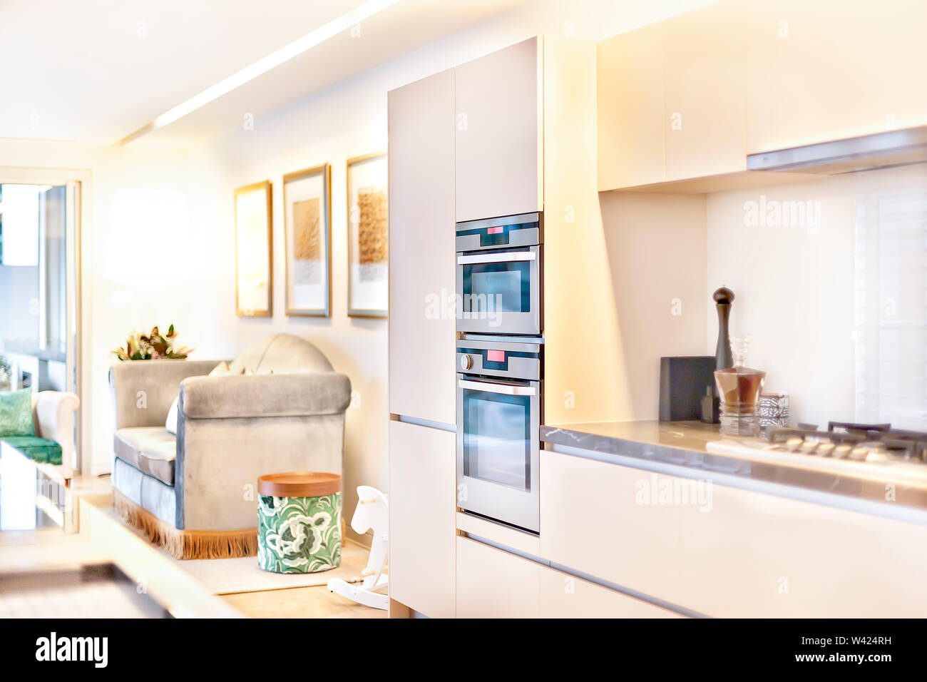 Luxury Kitchen Oven And Pantry Cupboards Beside Sofa In The Living