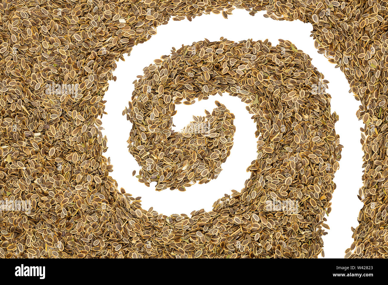 Dill seeds, close up. Annual fennel herb used as spice in cooking or