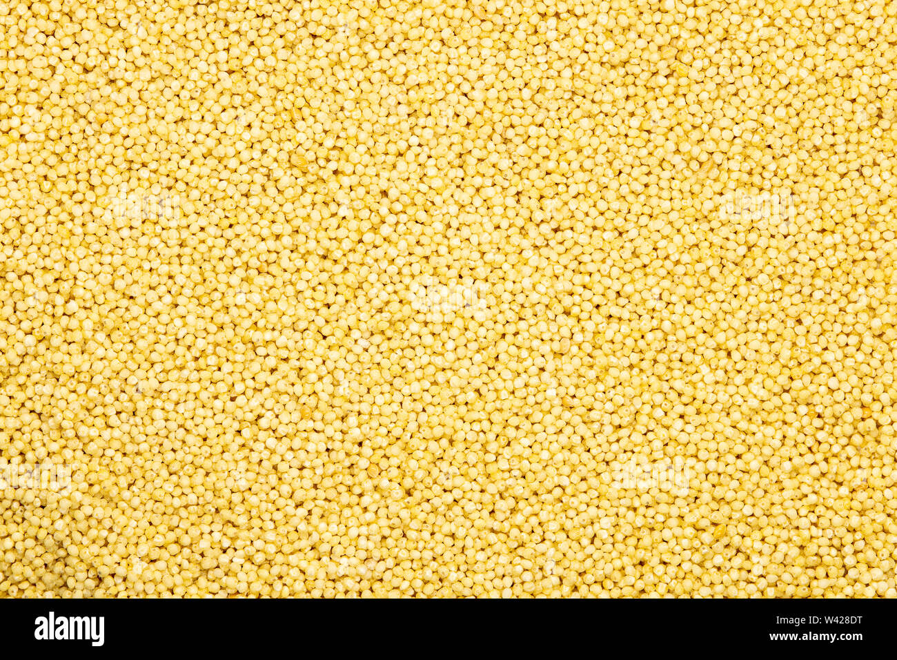 Millet groats, close up, top view. GlutenFree and nonallergenic grain