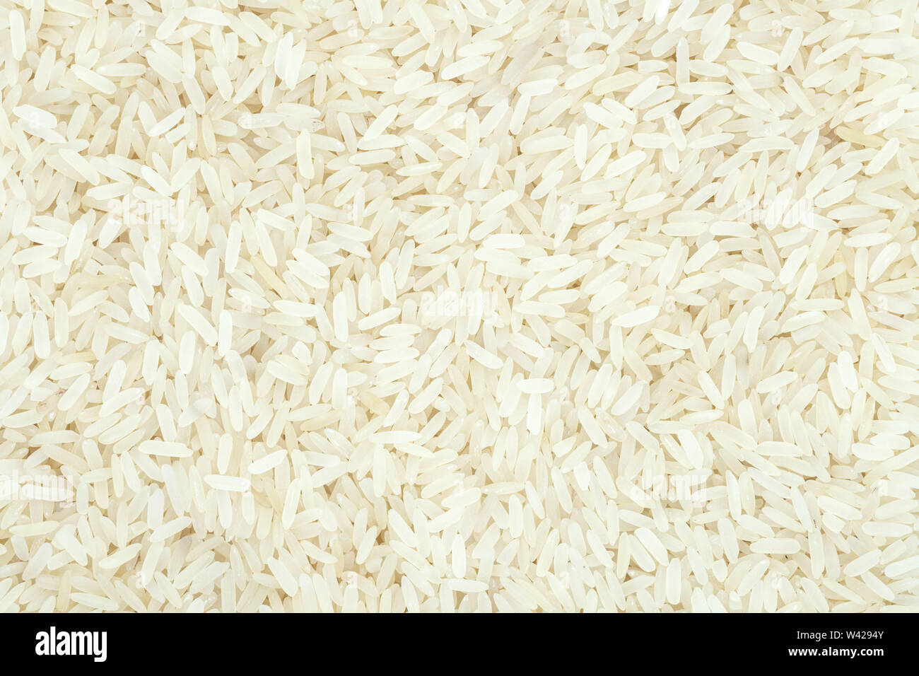 White Rice Steamed Close Up Healthy Nutrition For Weight White Rice Steamed Close Up Healthy Nutrition For Weight