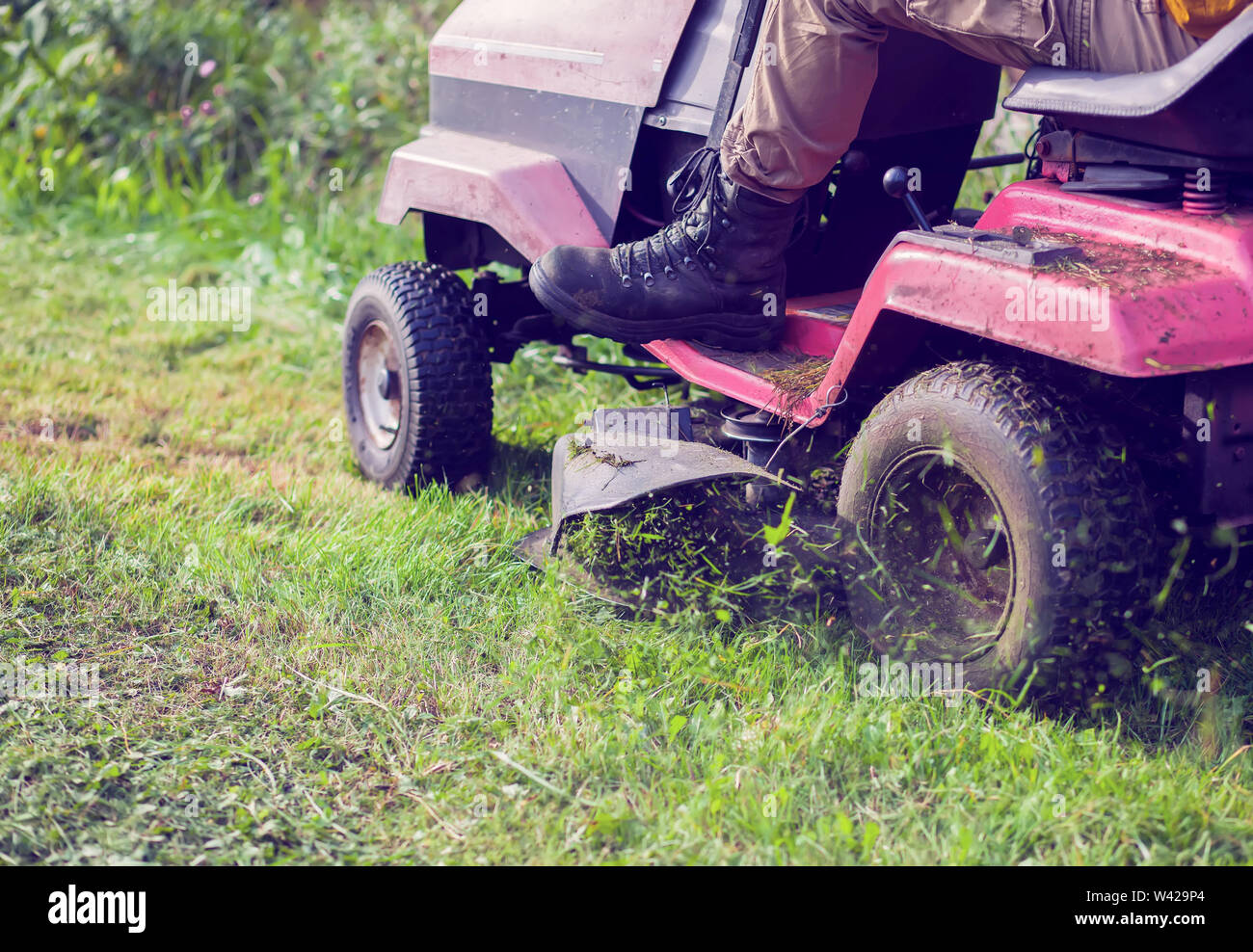 Fresh cut grass flying from riding lawnmower person cutting long green