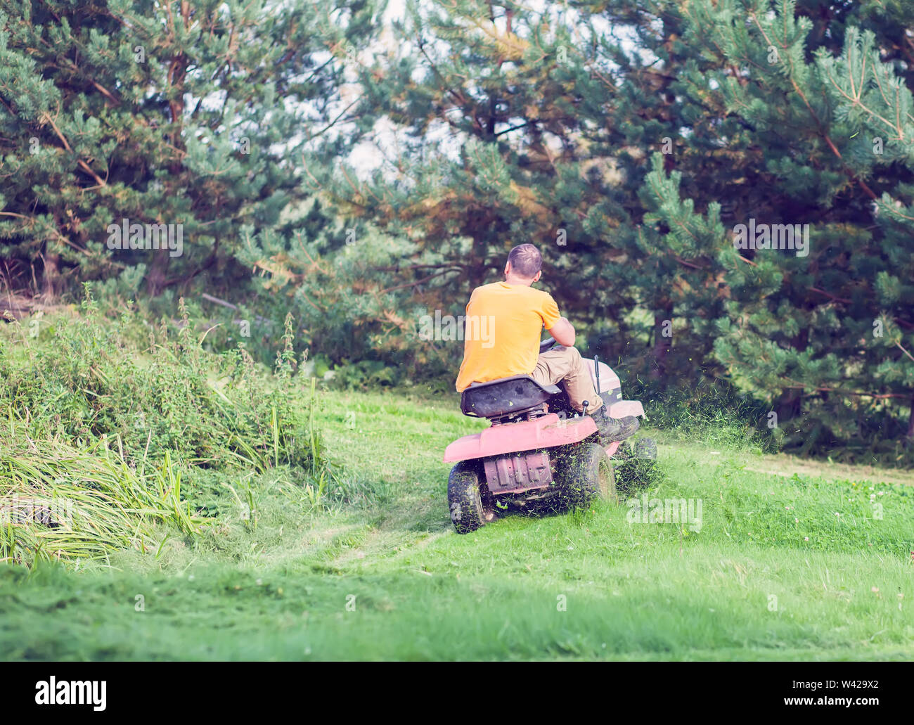 Fresh cut grass flying from riding lawnmower person cutting long green