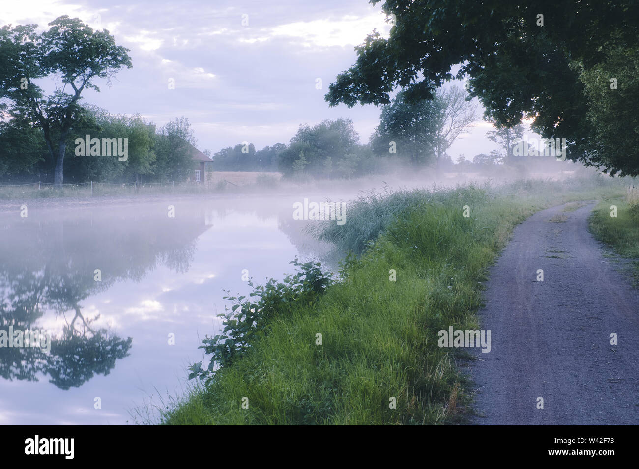 evening image with fog on the water with trees and clouds reflected in ...