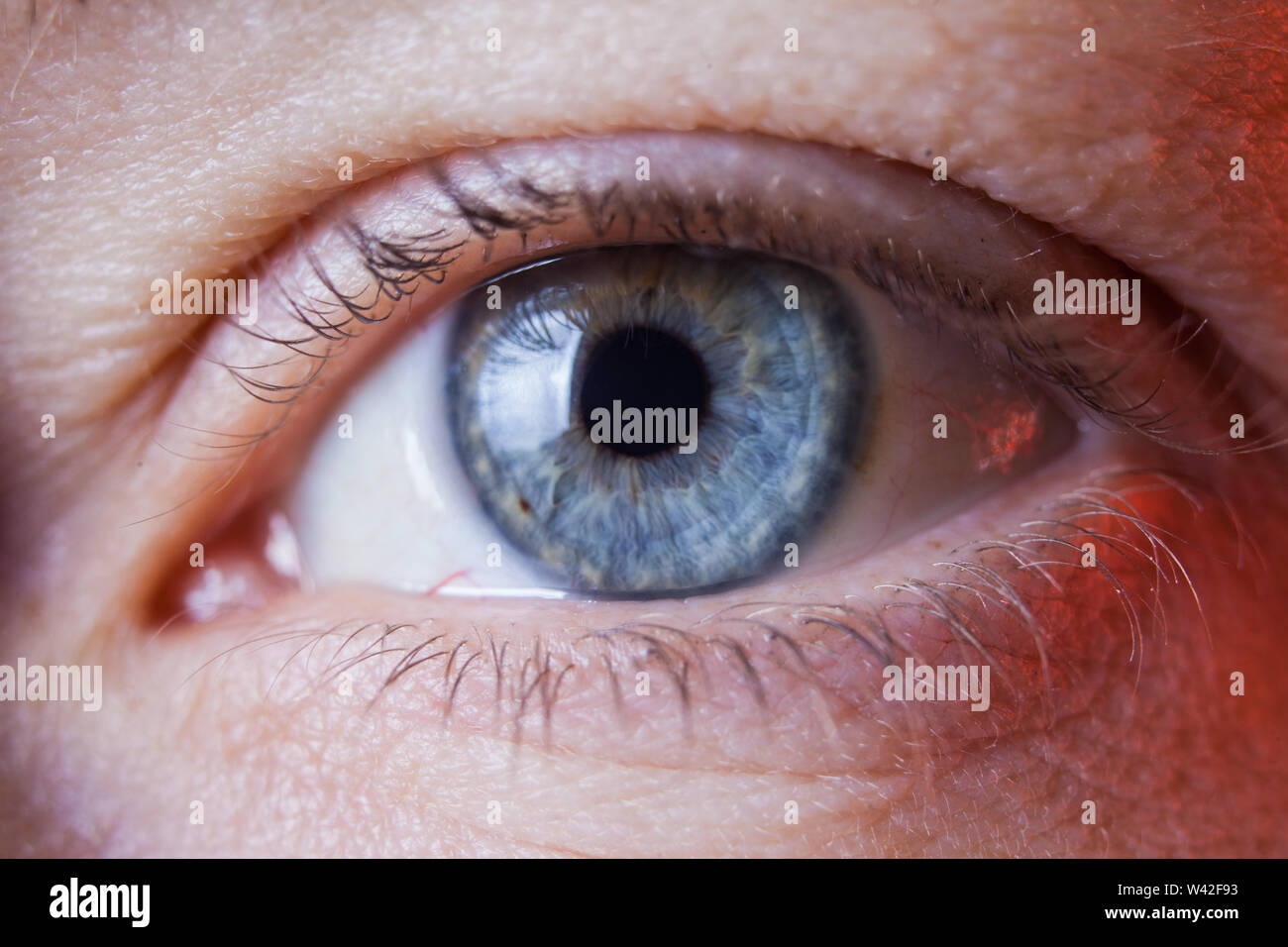 Macro image of human sad blue eye with tears, close-up details Stock Photo