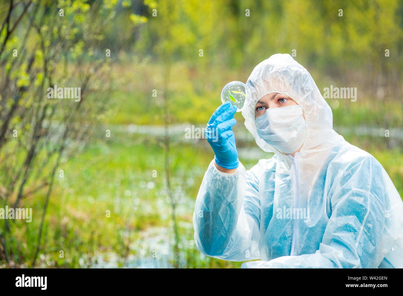 environmentalist in protective clothing examines infected plants from the forest lake Stock Photo