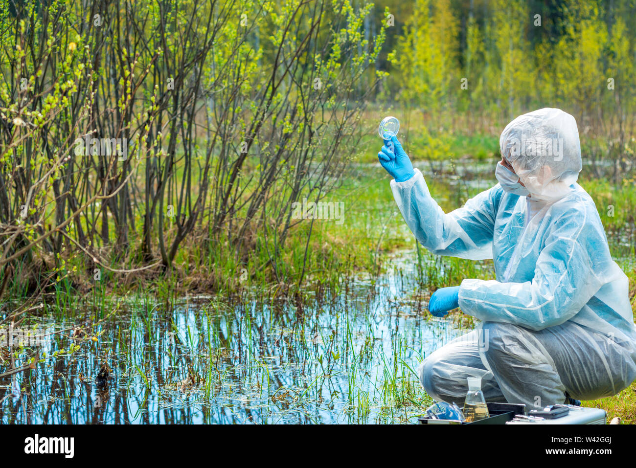 woman studies water and plants from forest lake, chemical composition and bacteria Stock Photo