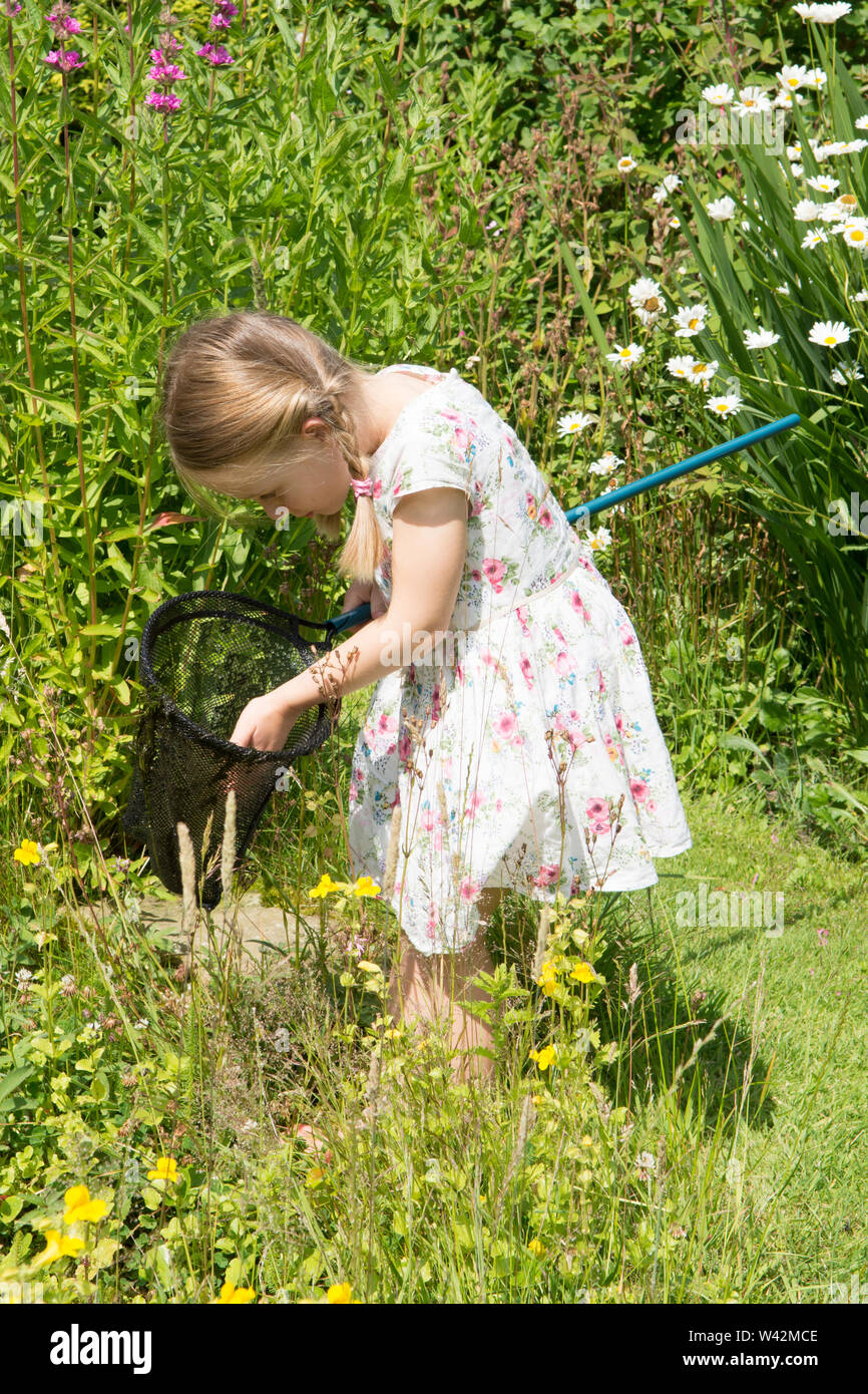 young girl in pretty dress, three years old, pond dipping, catching pond life, tadpoles, dragonfly larvae, in net, garden wildlife pond, UK, July Stock Photo