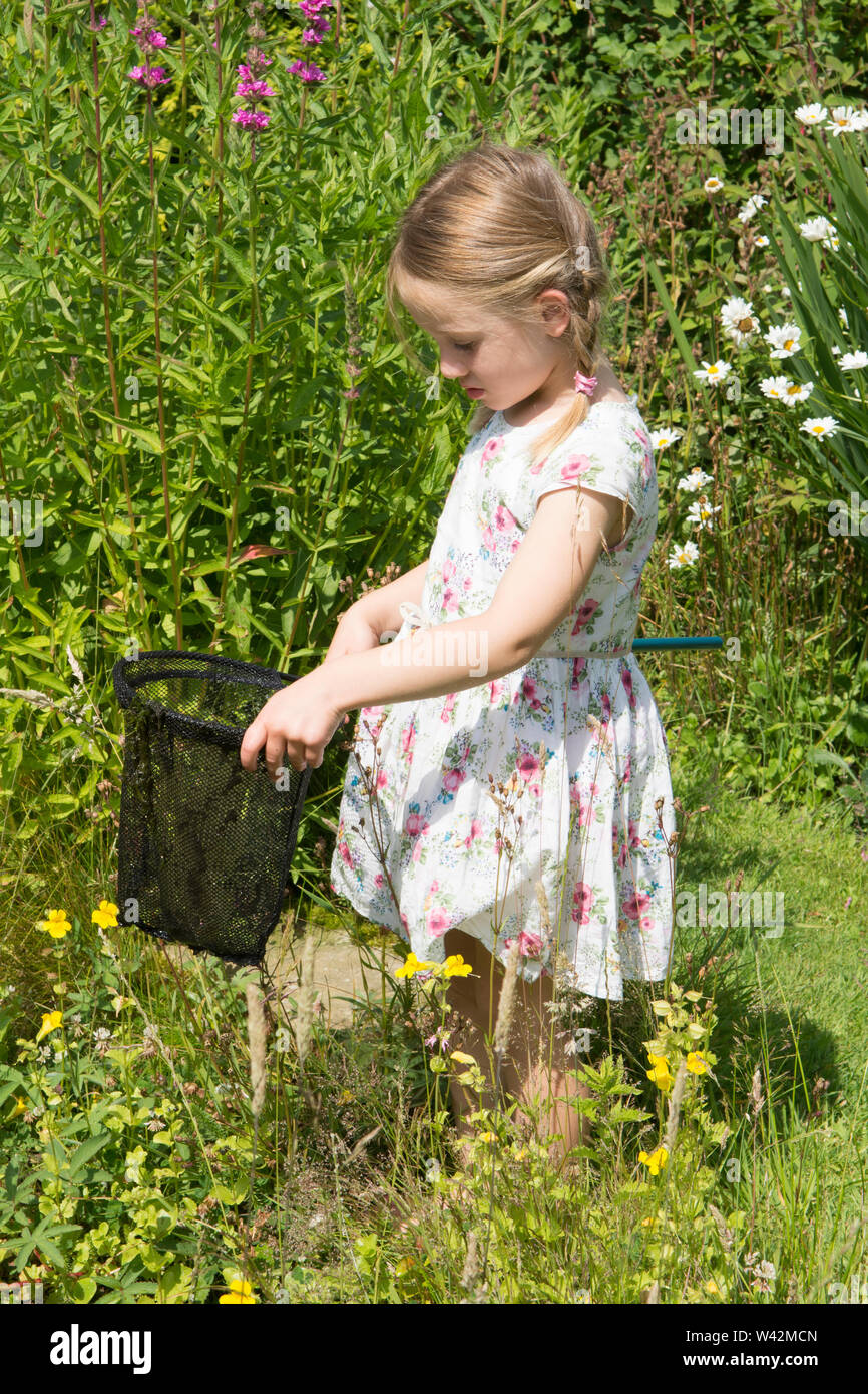 young girl in pretty dress, three years old, pond dipping, catching pond life, tadpoles, dragonfly larvae, in net, garden wildlife pond, UK, July Stock Photo