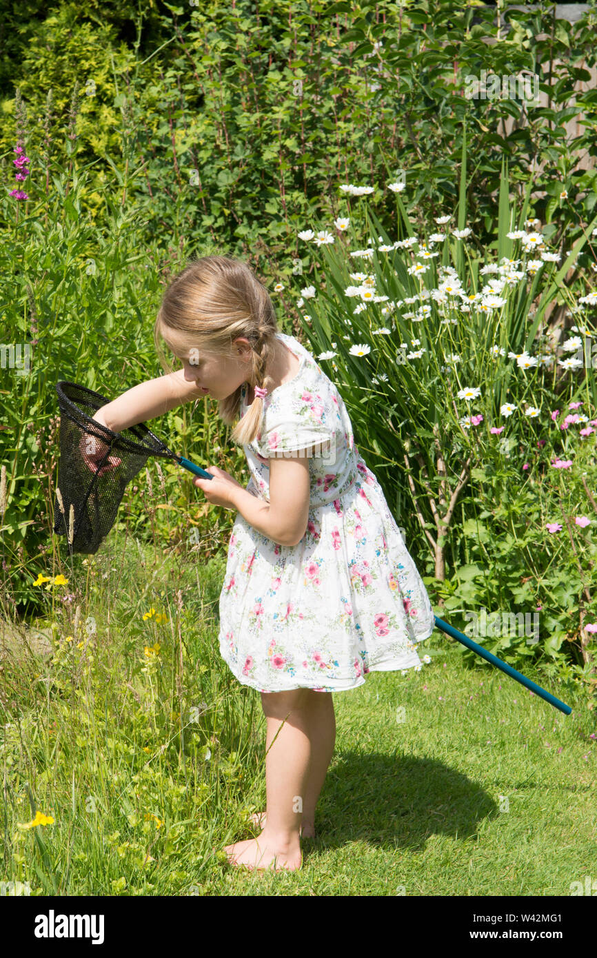 young girl in pretty dress, three years old, pond dipping, catching pond life, tadpoles, dragonfly larvae, in net, garden wildlife pond, UK, July Stock Photo