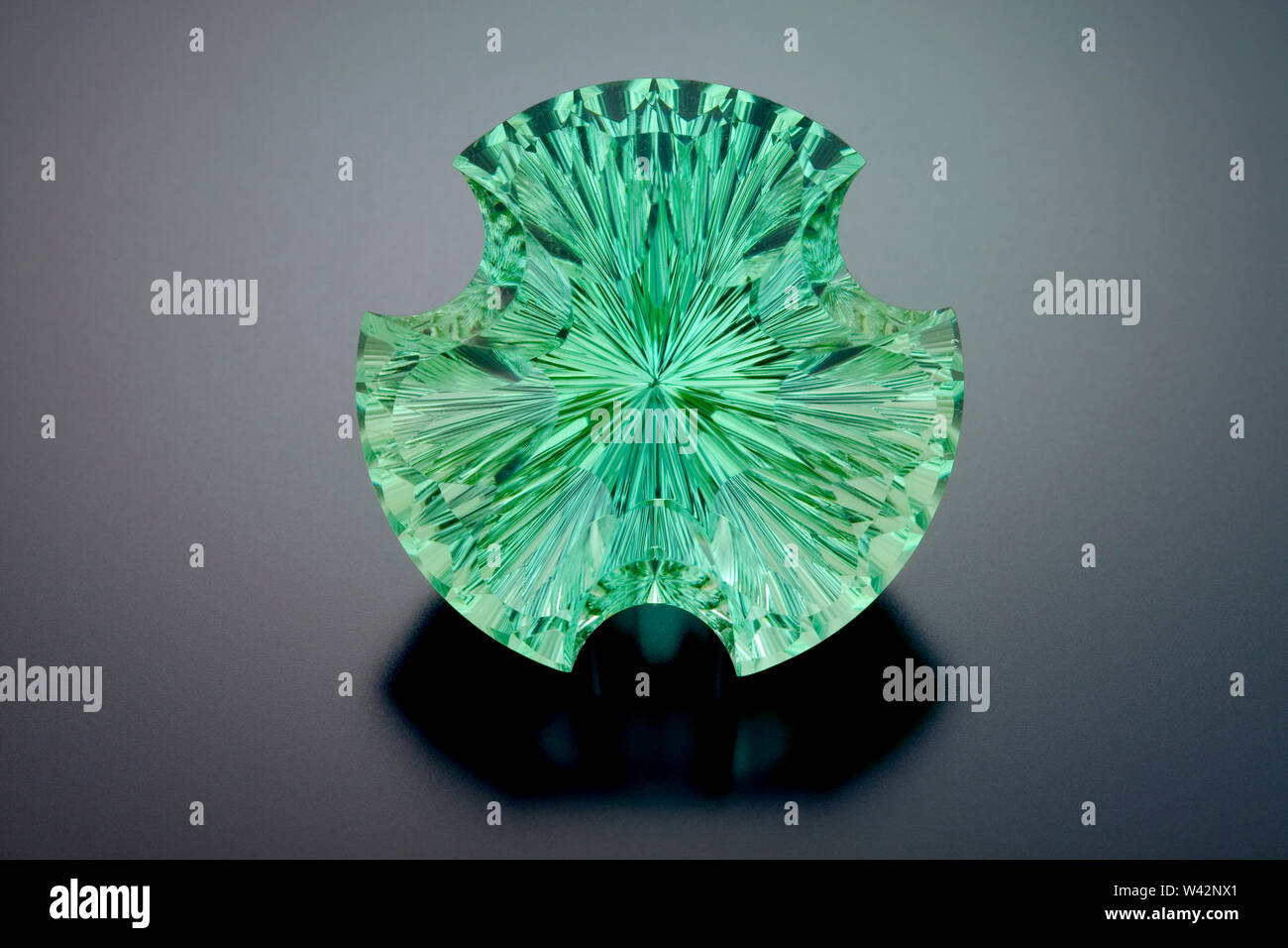 This large green tourmaline fantasy cut gemstone site on a grey reflective background. Stock Photo