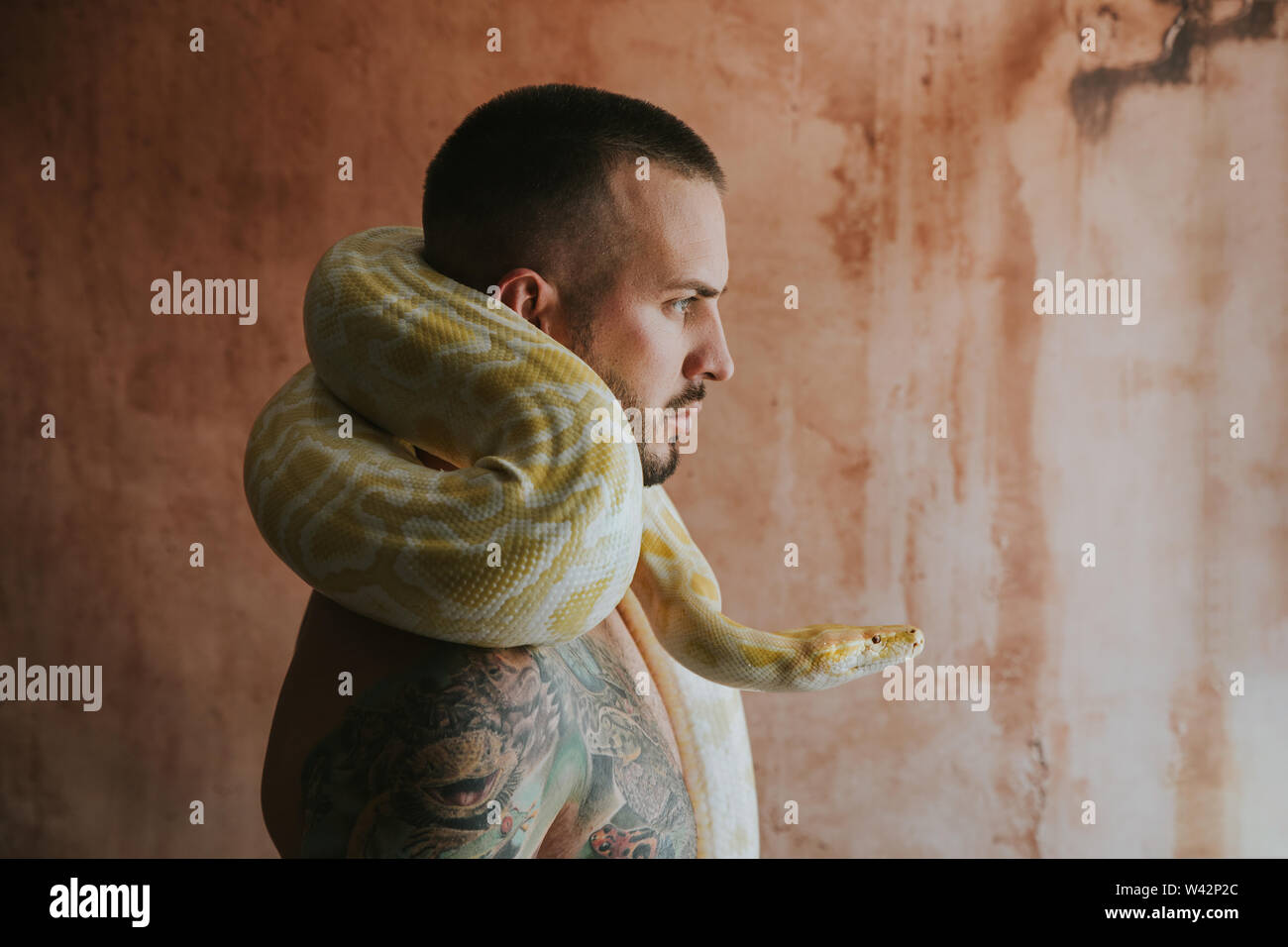 portrait of man with python circling his neck Stock Photo - Alamy